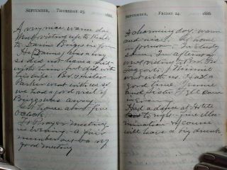 TRAVELING PREACHER HANDWRITTEN DIARIES - Temperance - Prohibition - Alcoholism - 1886 - NY 5