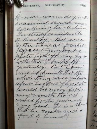 TRAVELING PREACHER HANDWRITTEN DIARIES - Temperance - Prohibition - Alcoholism - 1886 - NY 6