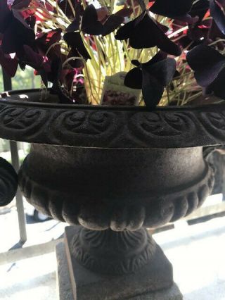 ANTIQUE French Cast Iron Urn Planter with Handles 19th Century 3