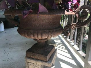 ANTIQUE French Cast Iron Urn Planter with Handles 19th Century 4