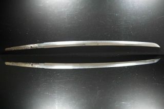 Authentic Japanese 80cm L - Wakizashi Sword 