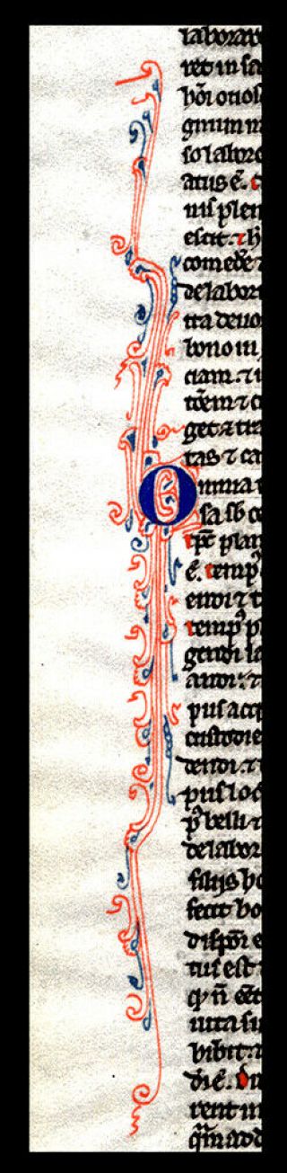 1240 Illuminated Medieval Bible Leaf Exquisite Miniature Ecclesiastes 1 Vellum 4