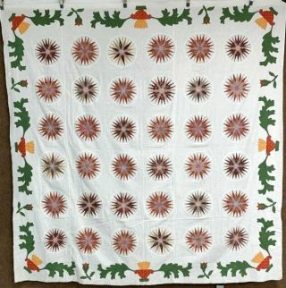 Urns & Tulips Border 1850 - 60s Mariners Compass Quilt Top Antique