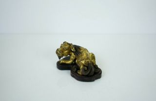 A Gilt Bronze Figure of a Seated Mystical Beast,  with a wooden stand 2