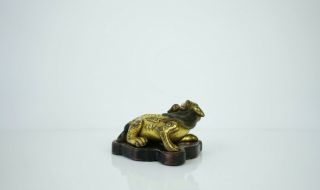 A Gilt Bronze Figure of a Seated Mystical Beast,  with a wooden stand 4