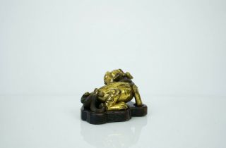 A Gilt Bronze Figure of a Seated Mystical Beast,  with a wooden stand 5