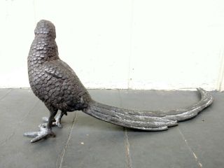 Exquisite Vintage Cast Bronze Pheasant Sculpture Bird Hunting Mantle/Centerpiece 6