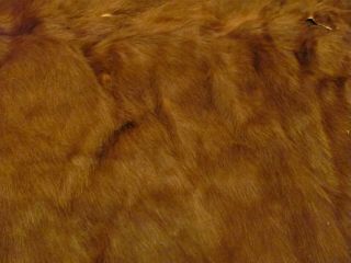 Antique Horse Hair/ Horse Hide Wool Carriage Buggie Blanket 67 