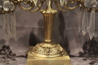 Pair Antique French Gilt Bronze Patina Candelabra w/ Cut Crystal Glass Prisms 6