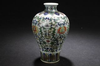 A Chinese Plant - filled Fortune Porcelain Vase Display 2