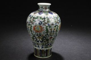 A Chinese Plant - filled Fortune Porcelain Vase Display 3