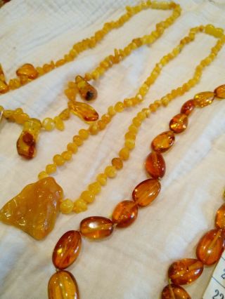 A group of Victoria vintage egg yolk amber pendants/necklace 391grams 11
