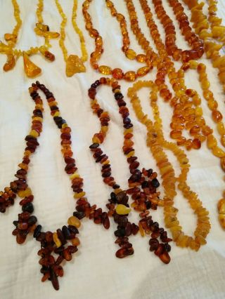 A group of Victoria vintage egg yolk amber pendants/necklace 391grams 2