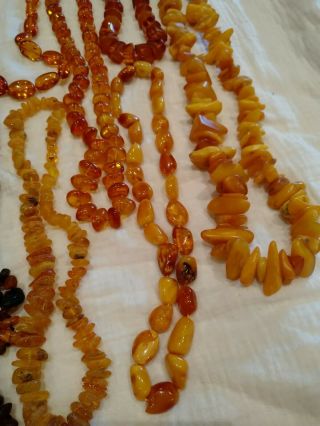 A group of Victoria vintage egg yolk amber pendants/necklace 391grams 3