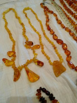 A group of Victoria vintage egg yolk amber pendants/necklace 391grams 5