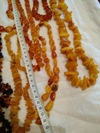 A group of Victoria vintage egg yolk amber pendants/necklace 391grams 7