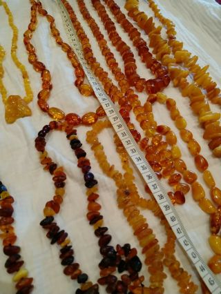 A group of Victoria vintage egg yolk amber pendants/necklace 391grams 9