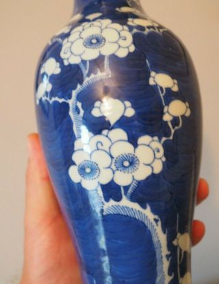 FINE LARGE OLD ANTIQUE CHINESE ASIAN ART BLUE & WHITE PRUNUS PATTERN KANGXI VASE 2