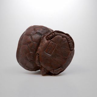 Japanese Netsuke - 19th Century - Group of Three Turtles 3