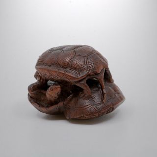 Japanese Netsuke - 19th Century - Group of Three Turtles 5