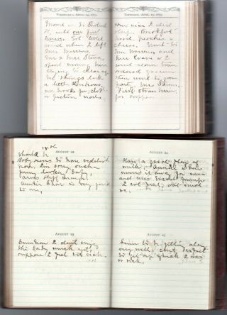 14 Handwritten West Coast San Francisco CA Diaries Matilda Cobb Perley 1875 - 1898 4