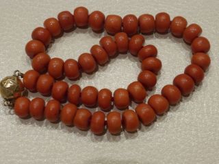 Antique Chinese 60 Grams Natural Coral Salmon Beads Necklace with 14k Gold Clasp 10