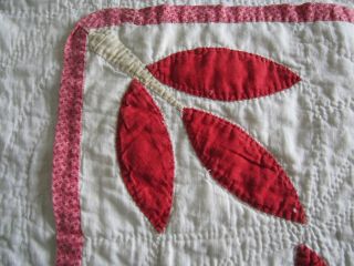 VINTAGE 1800S RED & WHITE HAND STITCHED AND QUILTED VEGETABLE DYE TURKEY TRACKS? 7