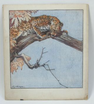 KAY NIXON (1895 - 1988) watercolour & pencil - Indian Leopard in tree 2