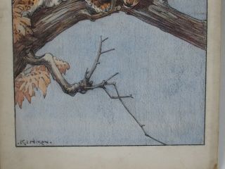 KAY NIXON (1895 - 1988) watercolour & pencil - Indian Leopard in tree 9