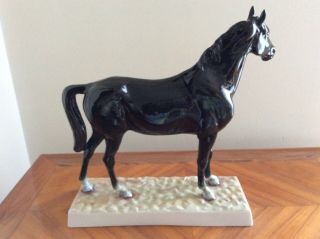 volkstedt dresden sitzendorf porcelain black horse collectors painted very rare 4