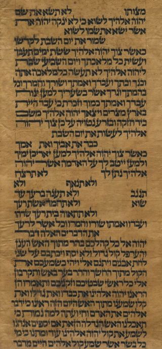 TORAH SCROLL BIBLE VELLUM MANUSCRIPT LEAF 350 YRS MOROCCO Deuteronomy 4:35 - 6:25 3