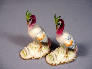 Von Schierholz Porcelain Exotic Bird Paradise Crane Peacock Card Holders Germany