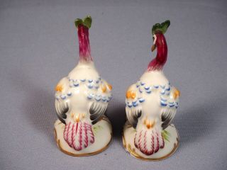 Von Schierholz Porcelain exotic bird paradise crane peacock Card holders Germany 5