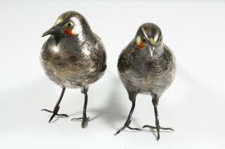 Signed Japanese Meiji Period Solid Silver & Enamel Birds c.  1880 5