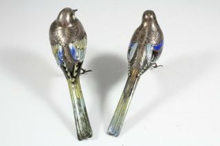 Signed Japanese Meiji Period Solid Silver & Enamel Birds c.  1880 6