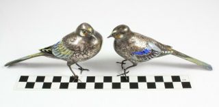 Signed Japanese Meiji Period Solid Silver & Enamel Birds c.  1880 8