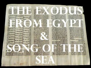 Torah Bible Scroll Manuscript Vellum Leaf 150 Years Old Europe Exodus From Egypt