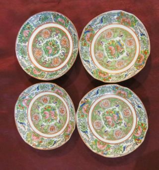 Private for xiangri Rose Famille Canton 23 Square Plates/12 Cups/17 Saucers 3