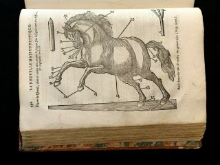 1763 GENERAL ECONOMY OF ALL THE COUNTRY ESTATES or Country House by M.  Liger 3