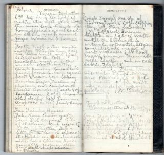 1869 & 74 Handwritten Diaries Sandwich ILL Fremont IA China ME Taunton MA Cook 7