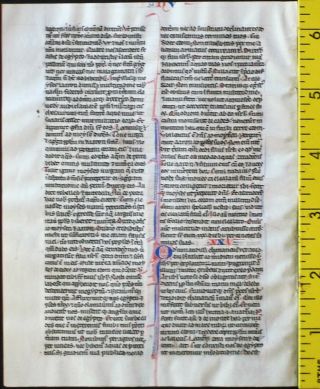 Early ca.  1250 Bible manuscript leaf in Latin on very fine vellum,  Numbers 18 - 21 2