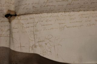 Late C1500 Very Very Large Manuscript Document Skin Parchment Signed