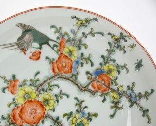 Fine Chinese Marked Famille Verte Wucai Flower and Bird Porcelain Plate 2