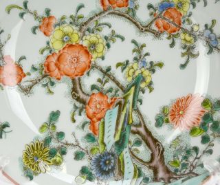Fine Chinese Marked Famille Verte Wucai Flower and Bird Porcelain Plate 3