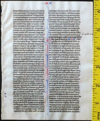 Early ca.  1250 Bible manuscript leaf in Latin on very fine vellum,  Numbers 23 - 26 2