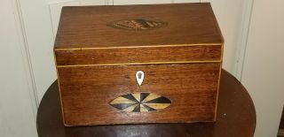 Antique Walnut Wood Shell Fruitwood Inlaid English Tea Caddy Box