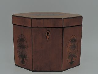 Fabulous Antique Georgian Hexagonal Satinwood Single Tea Caddy Box W/inlay