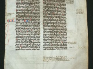 RARE Medieval Manuscript Vellum 