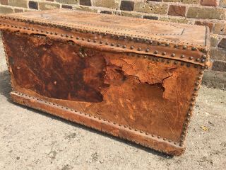 Antique Old Vintage Victorian Edwardian Georgian Studded Trunk Chest 3