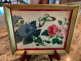 Beautifully Painted 19th Century Chinese Pith Painting Flowers With Butterfly